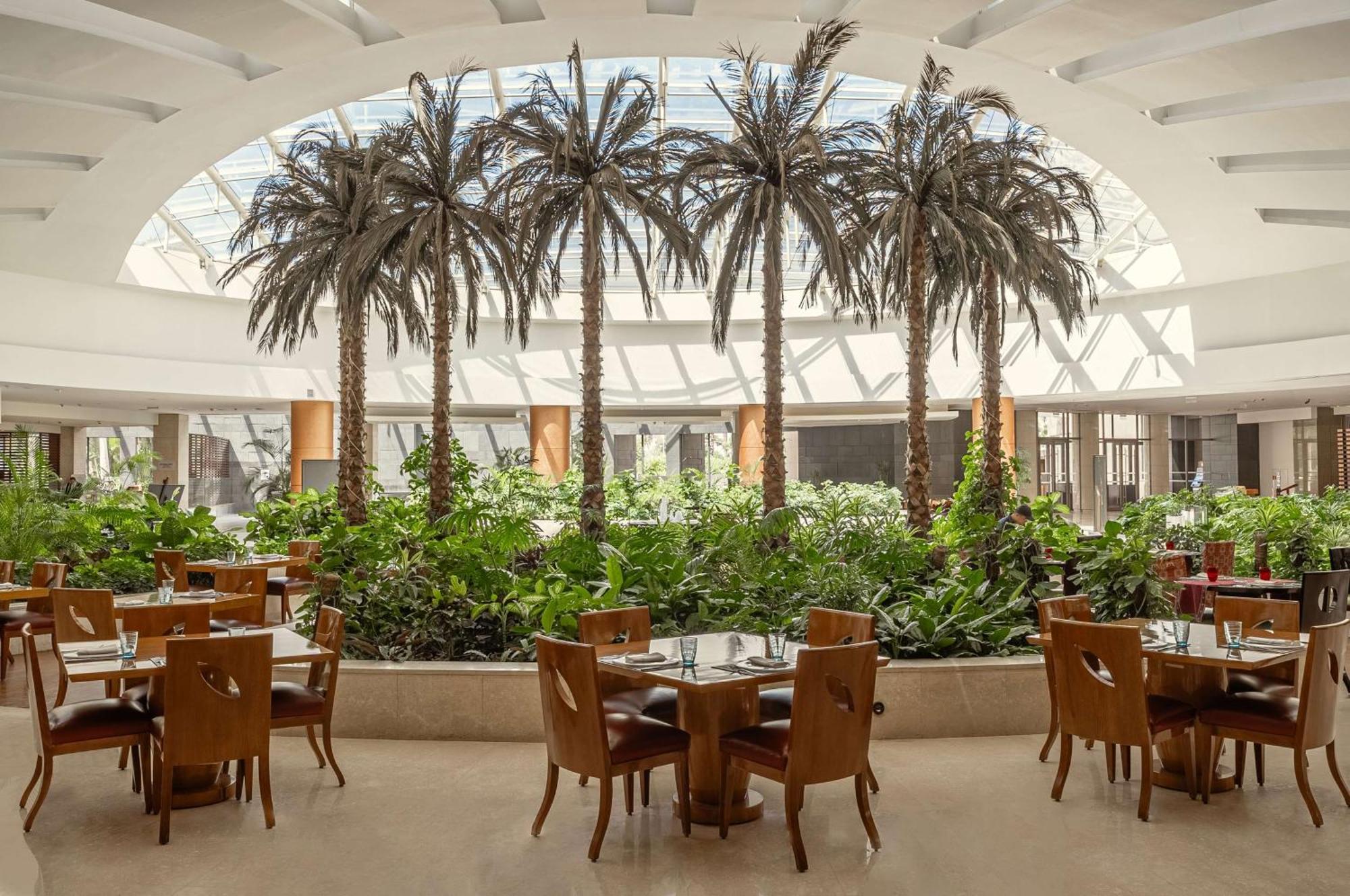 Hilton Cairo Heliopolis Hotel מראה חיצוני תמונה The Palm Court